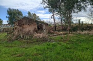 Terreno con casolare a soli 3km da Tropea